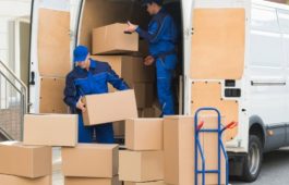 movers packers Dubai pickup truck for house shifting