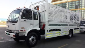 “1‑ton and 3‑ton pickup trucks parked in Dubai for rental by ABR Transport”