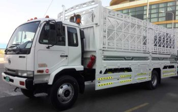 Dubai house shifting service with pickup truck and movers