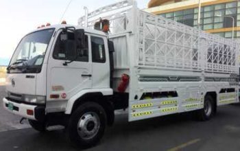 3 ton pickup Dubai for moving and delivery services